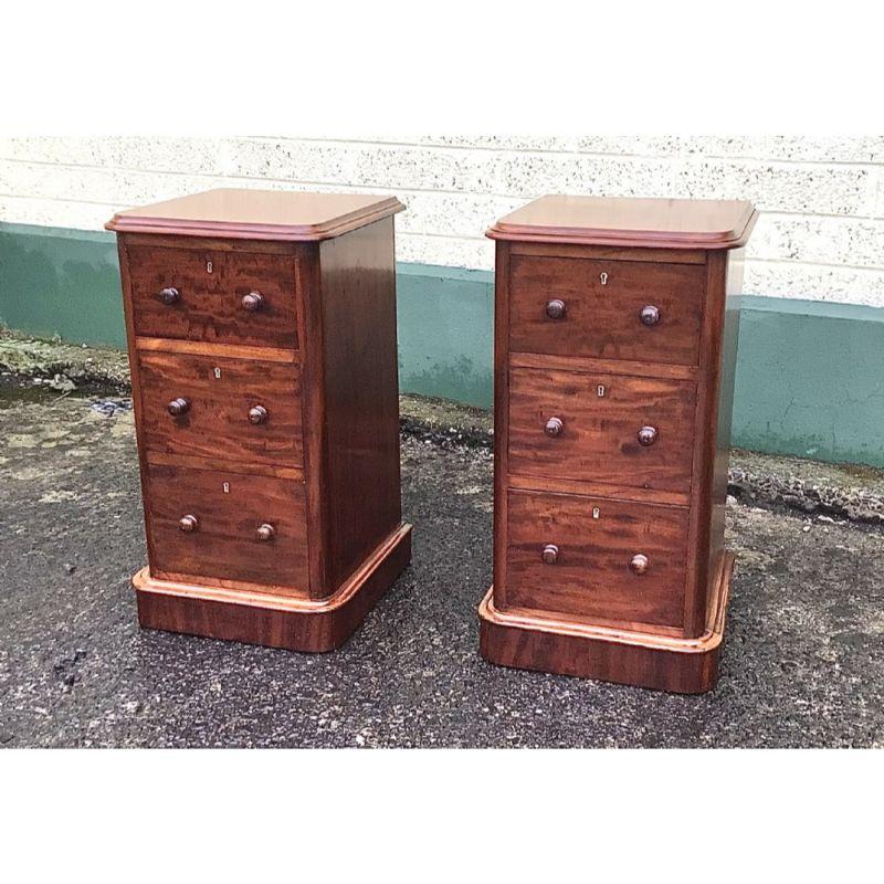 Pair of Quality Antique Mahogany Bedside Cabinet Chests In Good Condition In Antrim, GB