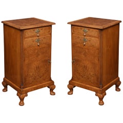 Pair of Queen Ann Style Bedside Cabinets