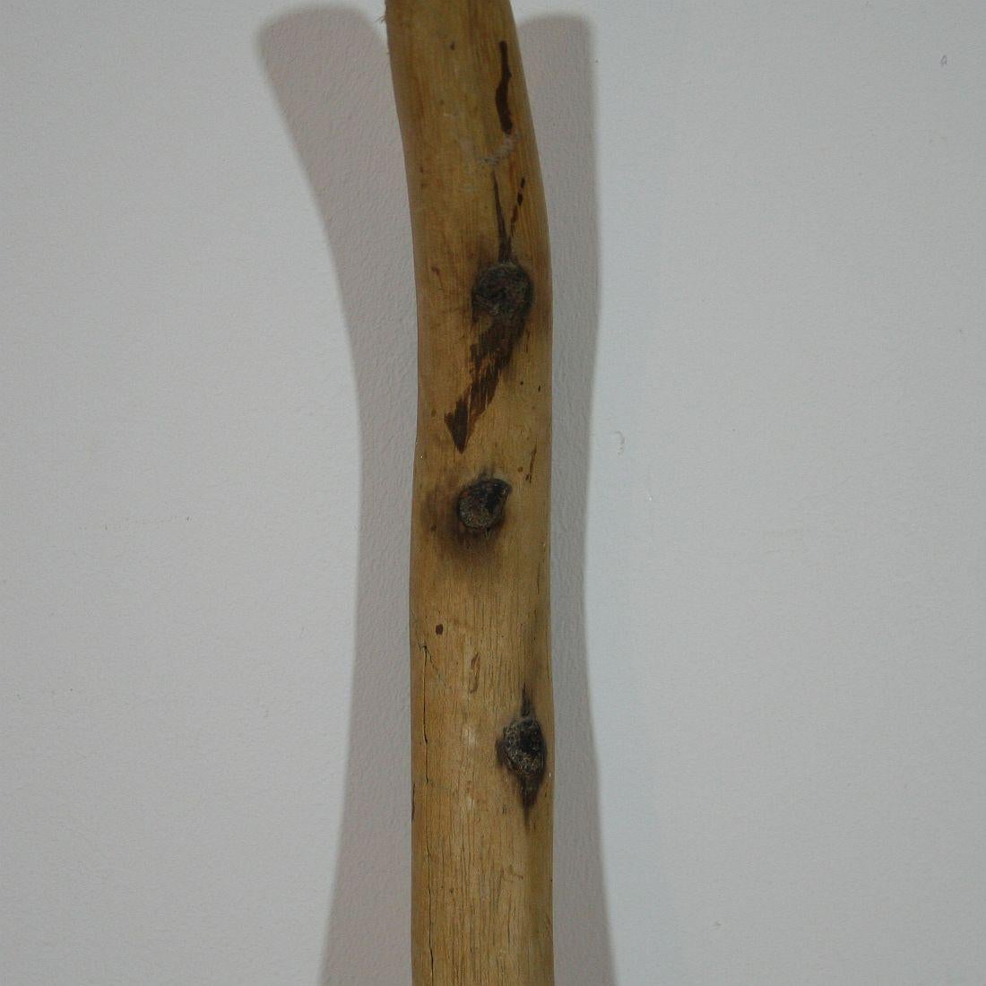 Pair of Rare 19th Century French Wooden Lavender or Pitch Forks In Good Condition In Buisson, FR