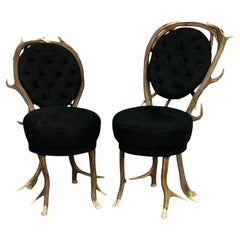 Used Pair of rare Antler Parlor Chairs, France ca. 1860