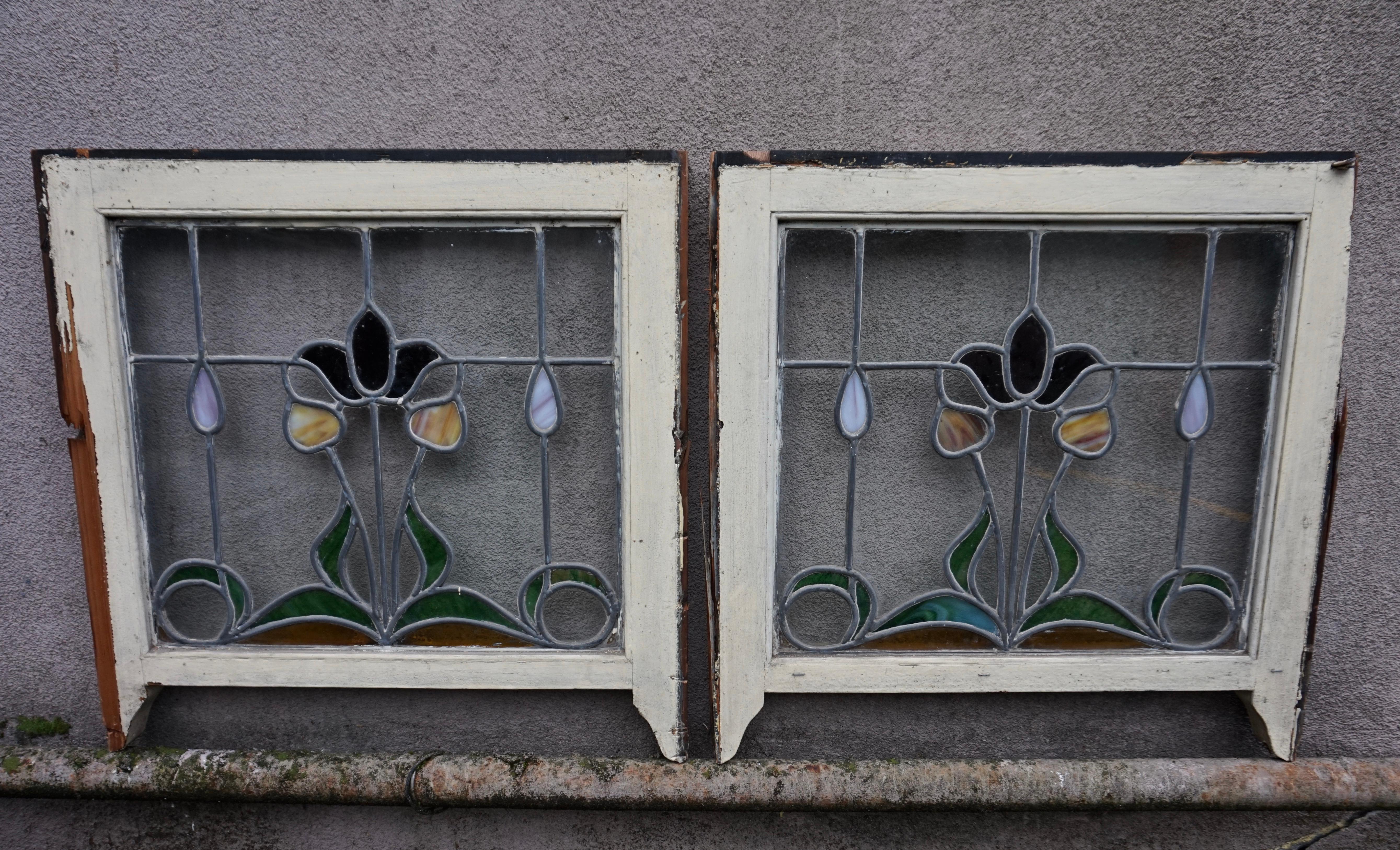 Paire de fenêtres Art Nouveau rares en verre teinté avec motif de tulipe et de bourgeons en volutes en vente 4