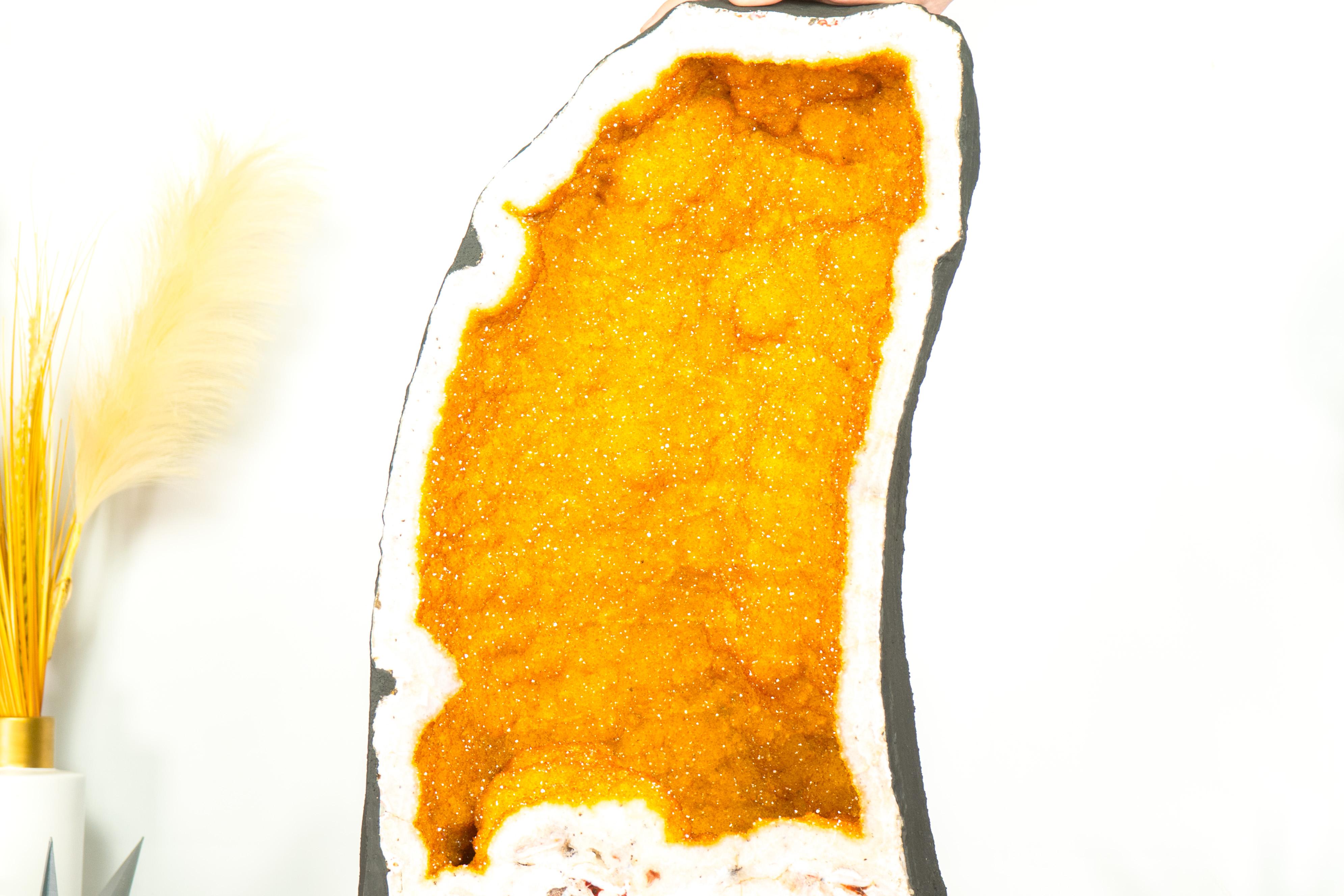 Pareja de Geodas de Citrino Raras de Libro con Drusa Galaxia Amarillo Dorado Brillante Amatista en venta