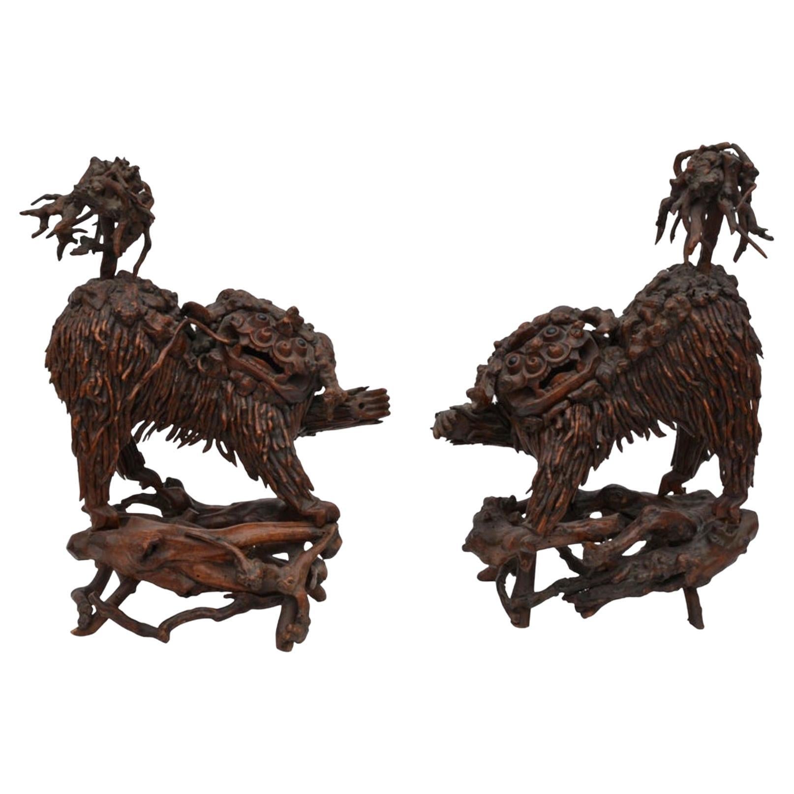 Paire de rares chiens Foo chinois en bois sculpté