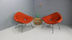 Ein Paar seltene Einfachstühle, Augusto Bozzi für Saporiti, 1950er Jahre. Neu gepolstert