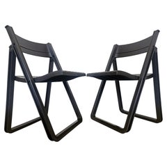 Pair of Rare Folding Chairs Dabaya, Allibert, France, 1970s