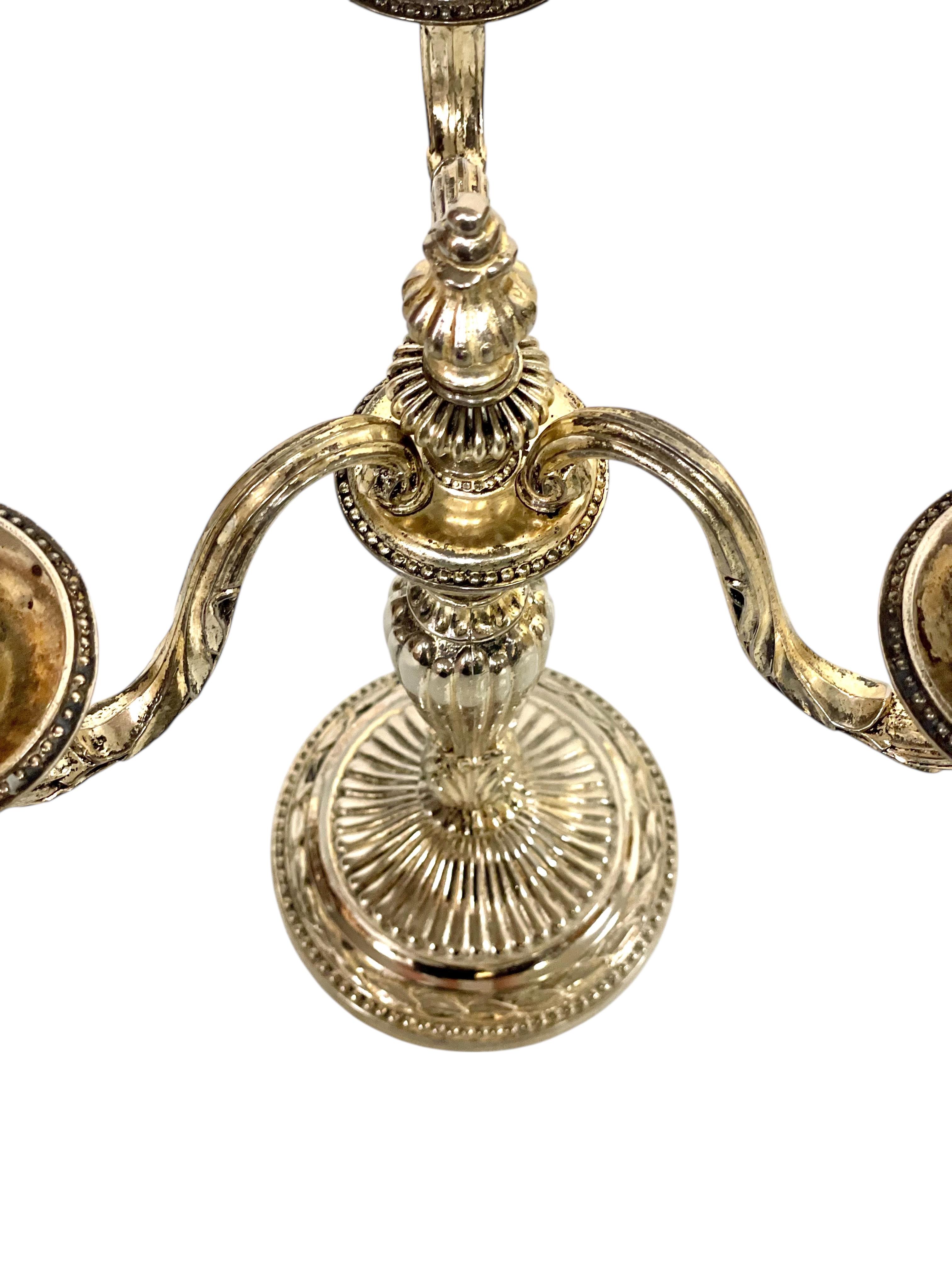 Coppia di rari candelabri grandi in bronzo placcato argento, XIX secolo in vendita 2