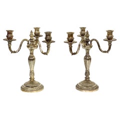 Paire de grands candélabres rares en bronze plaqué argent, 19ème siècle