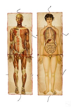Pair of Rare Life-Sized Pilz Anatomical Flap Manikins, Germany, c. 1890