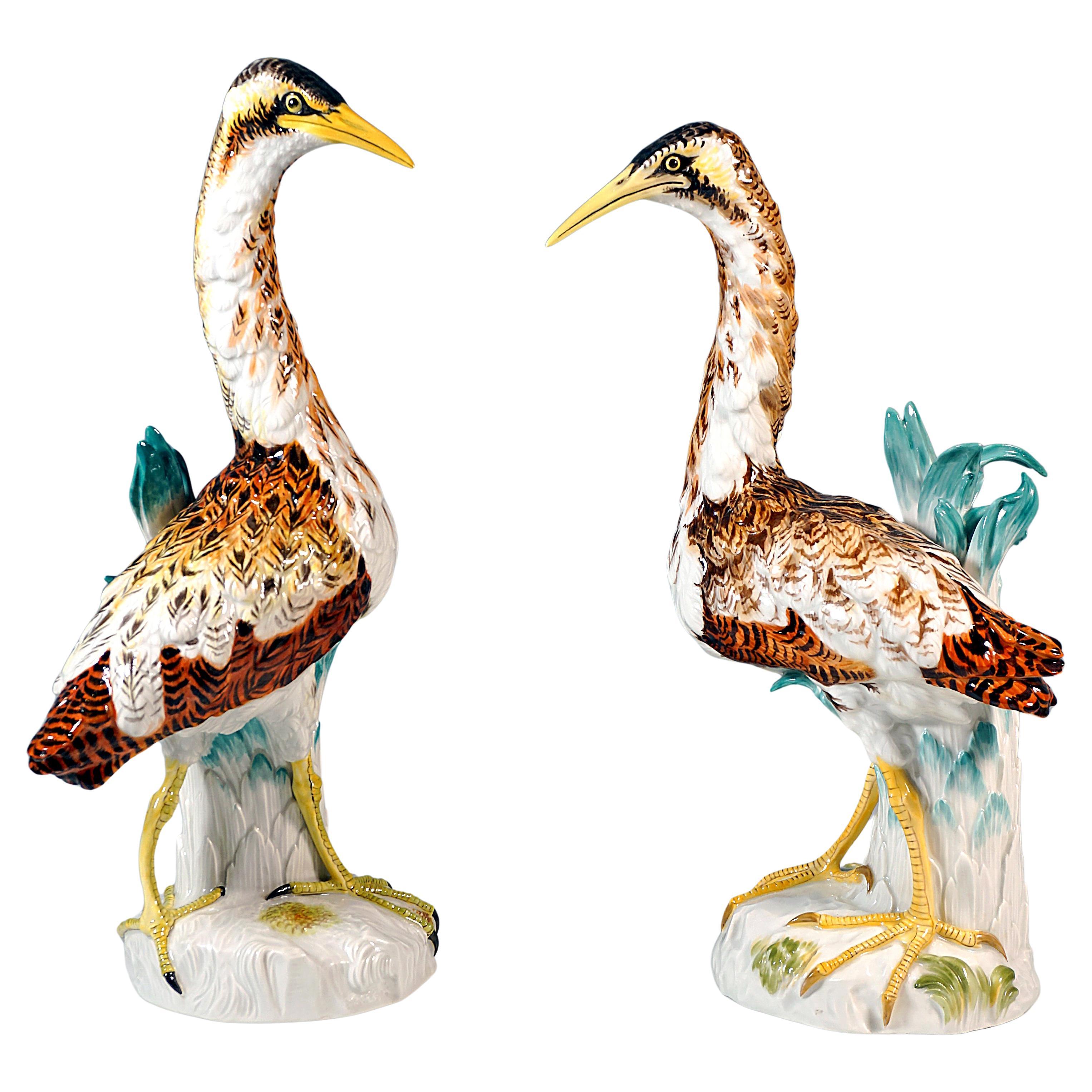 Paire de rares figurines d
animaux de Meissen, oiseaux "butors", par J.J. Kaendler, A.C.C.