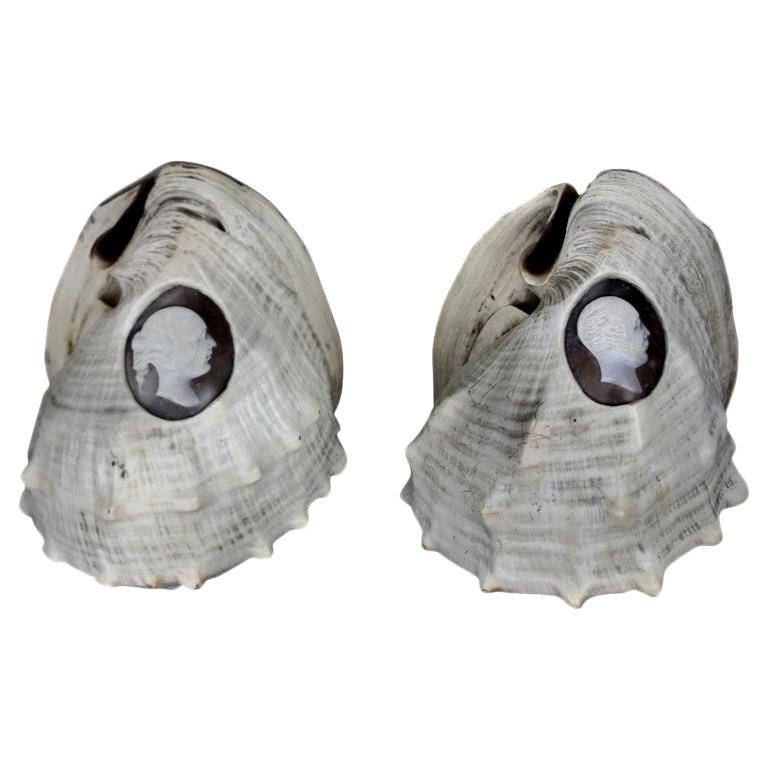 Pair of Rare Shell Cameos Depicting Queen Victoria and Prince Albert