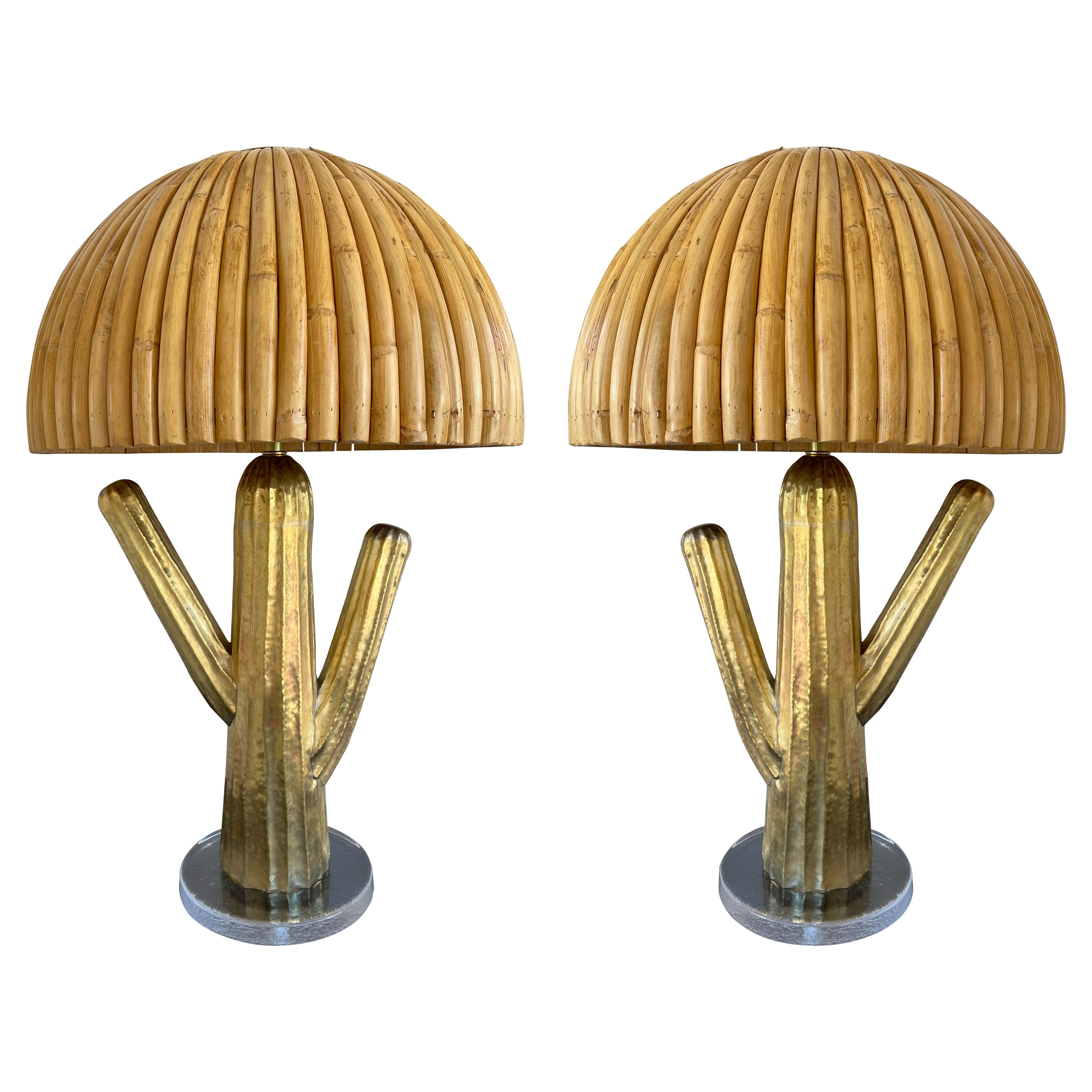 Paire de lampes Cactus en rotin et laiton, Italie en vente