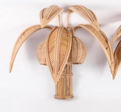 Pair of rattan « coconut tree/ palm tree » sconces