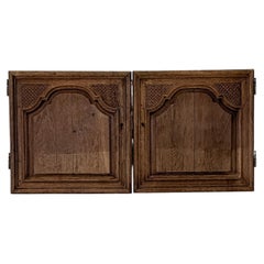 Pair of Reclaimed 19th Century French Cupboard Doors