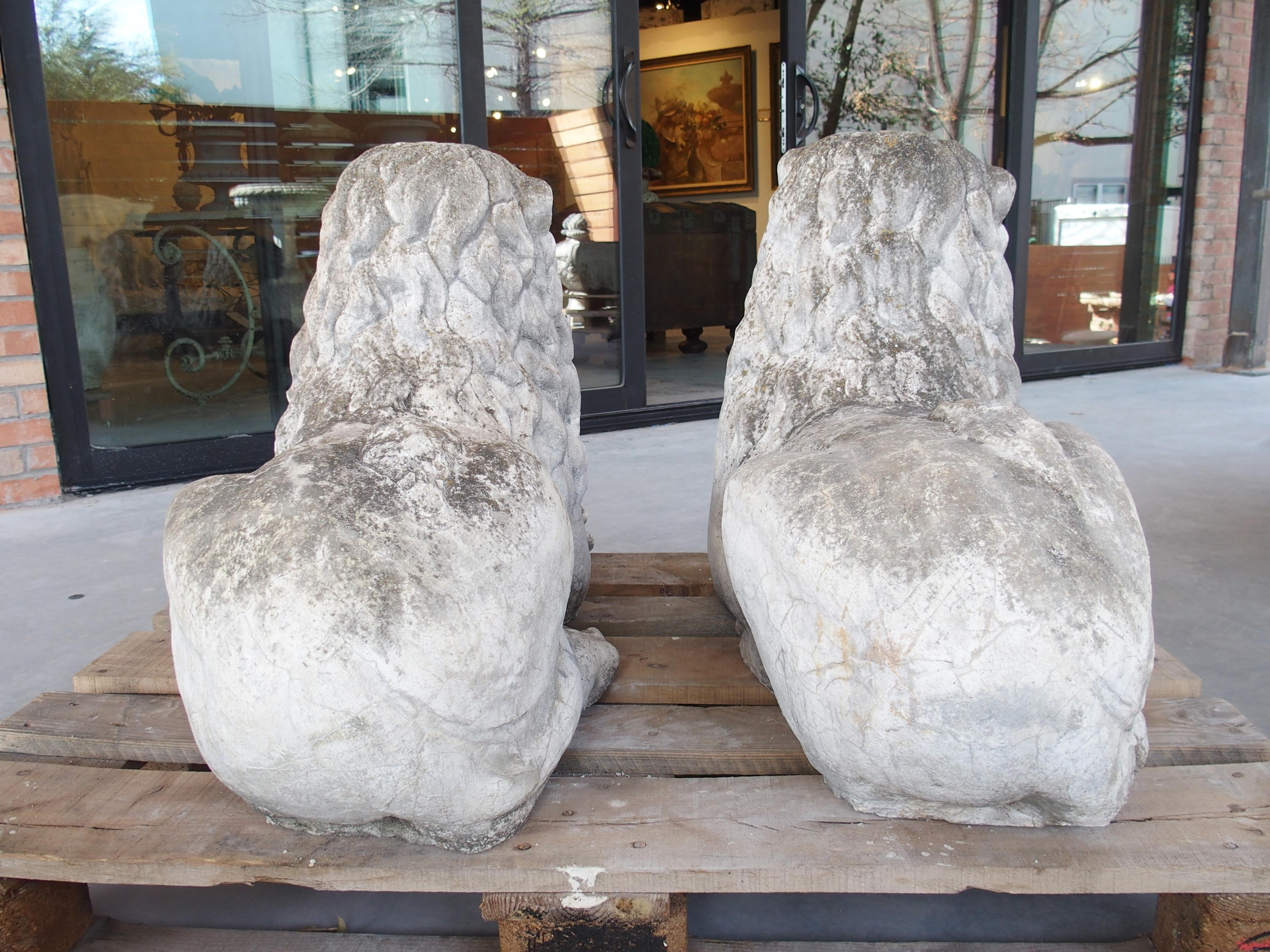 Pareja de leones de jardín yacentes de piedra reconstituida procedentes de Bélgica, circa 1960 en venta 4