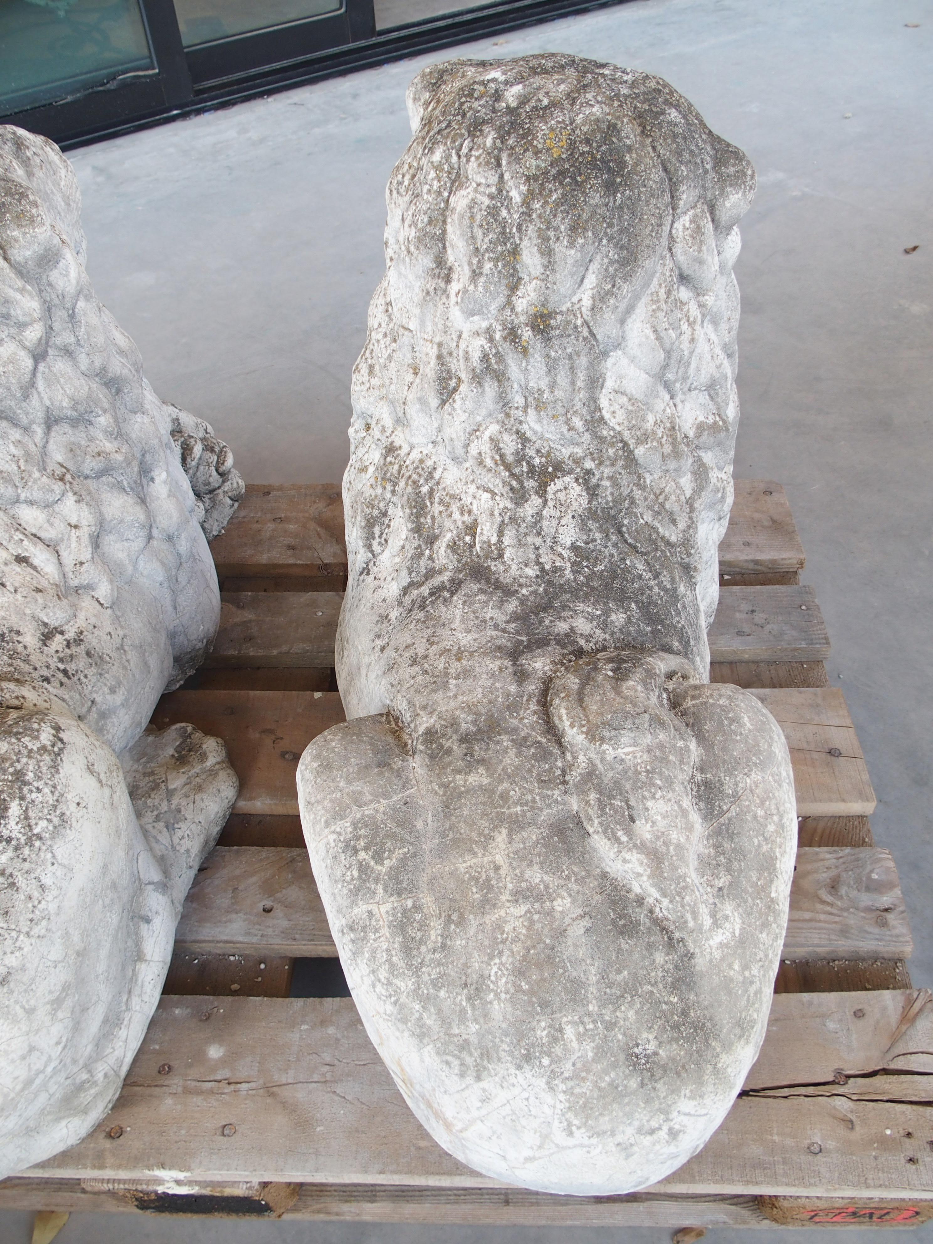 Pareja de leones de jardín yacentes de piedra reconstituida procedentes de Bélgica, circa 1960 en venta 5