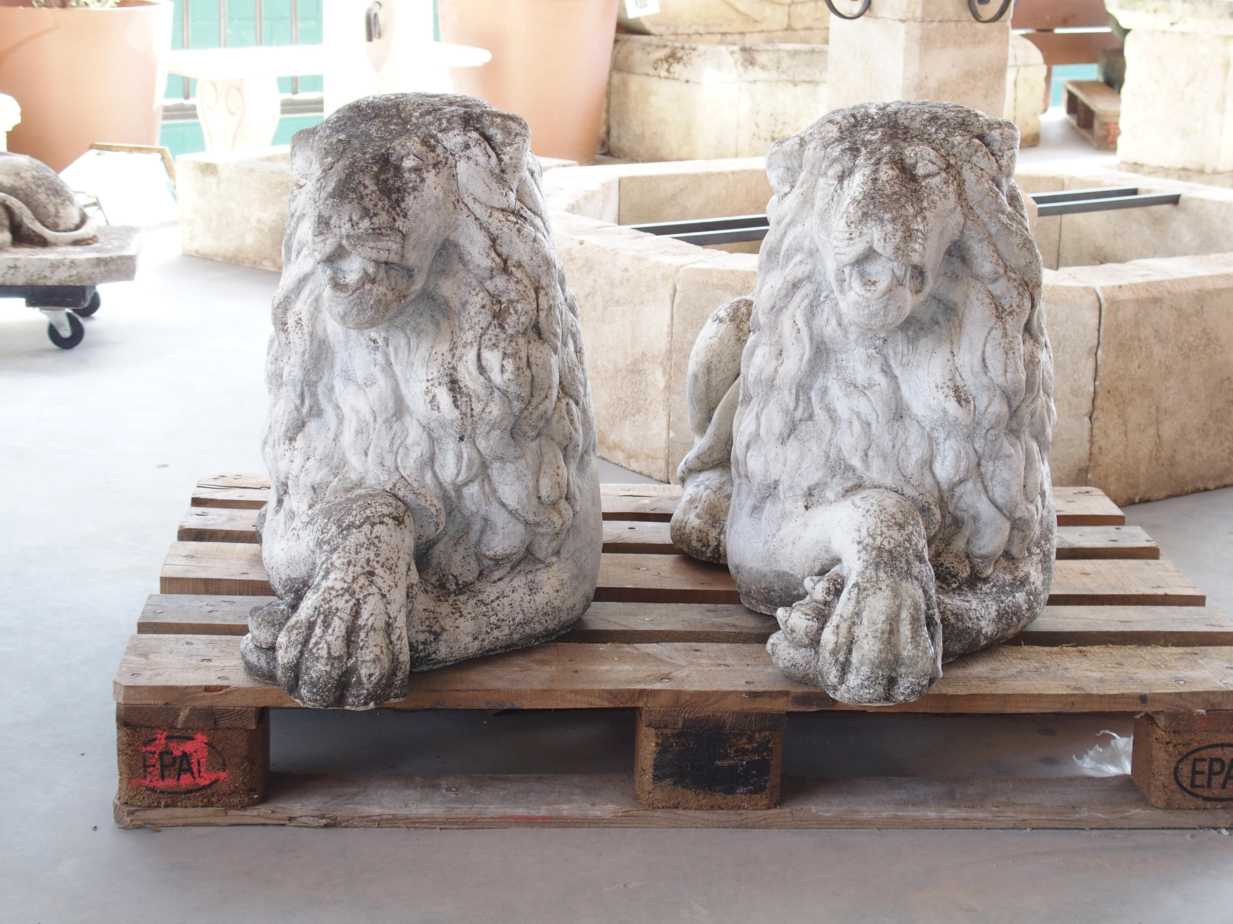Más información próximamente...

Hechos de piedra reconstituida, este par de leones yacentes proceden de Bélgica, hacia 1960.  Los leones de jardín son de color gris claro, con zonas de pátina gris oscura, ocre y marrón, atribuida sobre todo a la