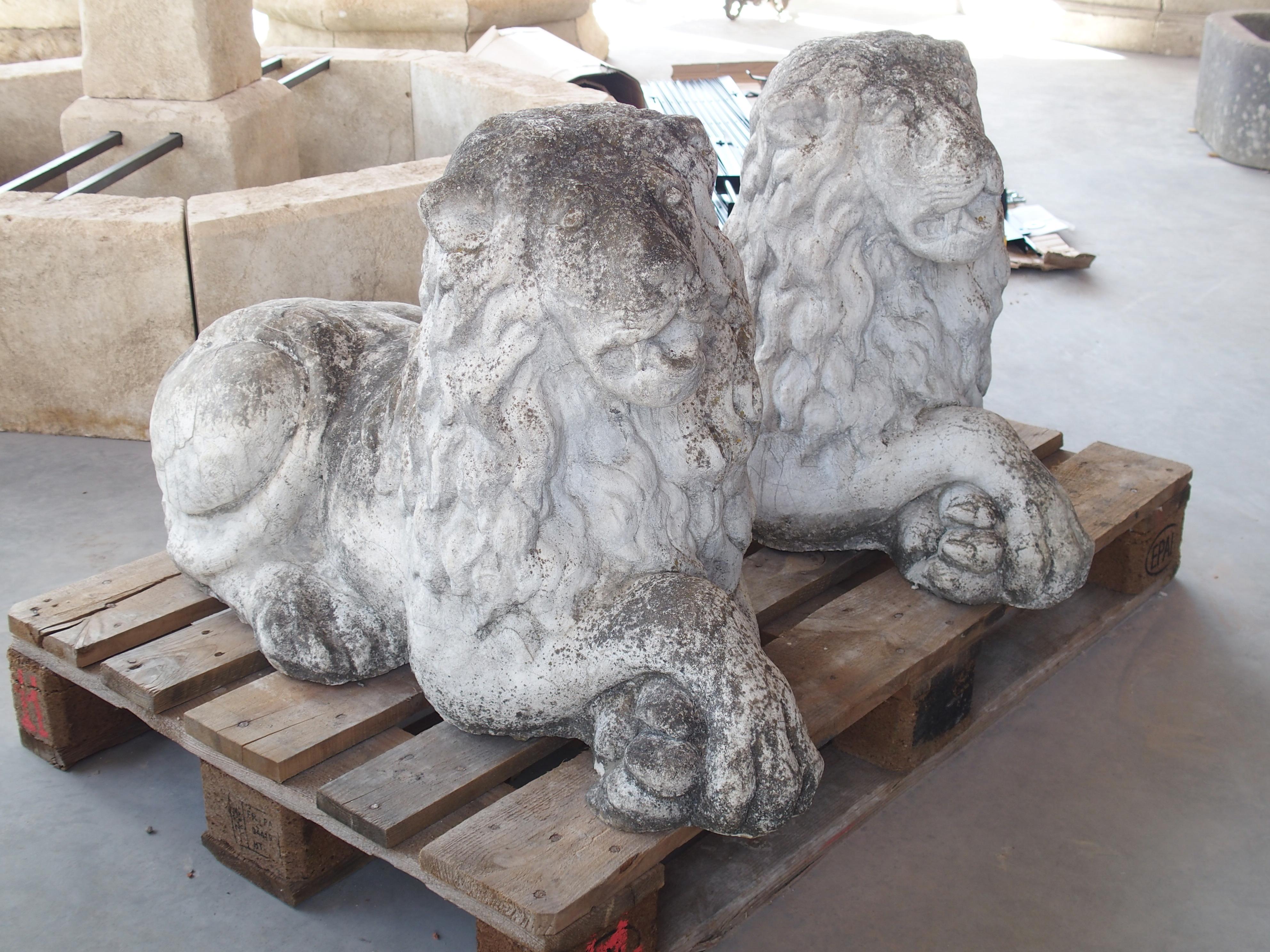 Pareja de leones de jardín yacentes de piedra reconstituida procedentes de Bélgica, circa 1960 en venta 13