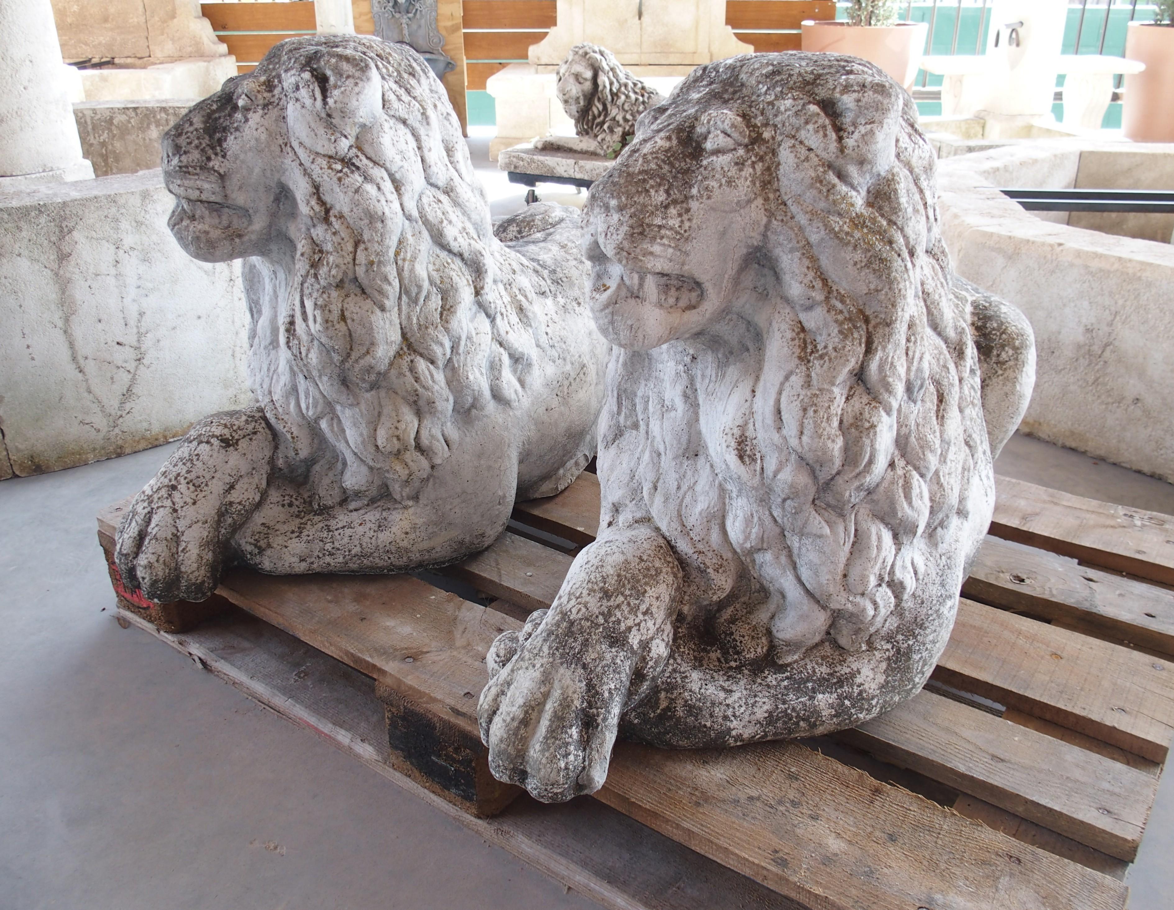 Pareja de leones de jardín yacentes de piedra reconstituida procedentes de Bélgica, circa 1960 Belga en venta