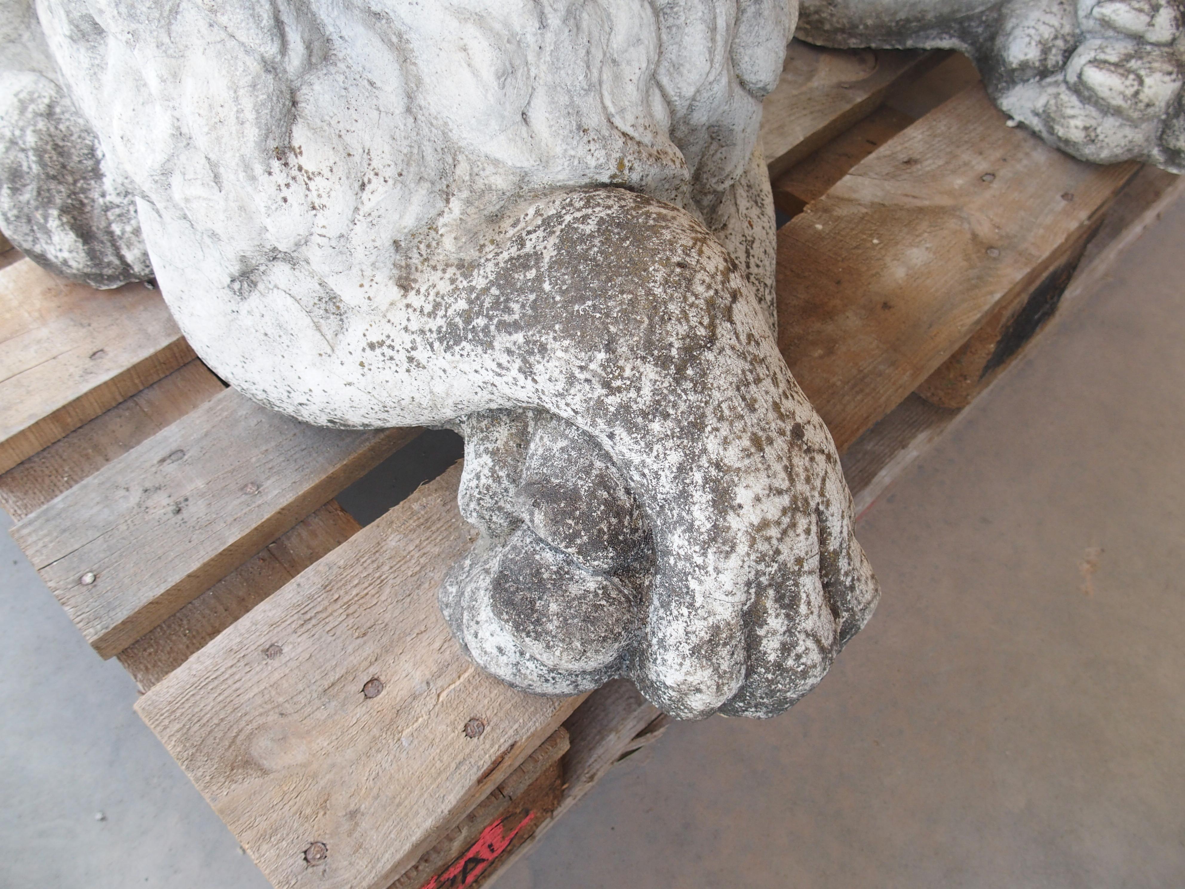 Pareja de leones de jardín yacentes de piedra reconstituida procedentes de Bélgica, circa 1960 Piedra en venta