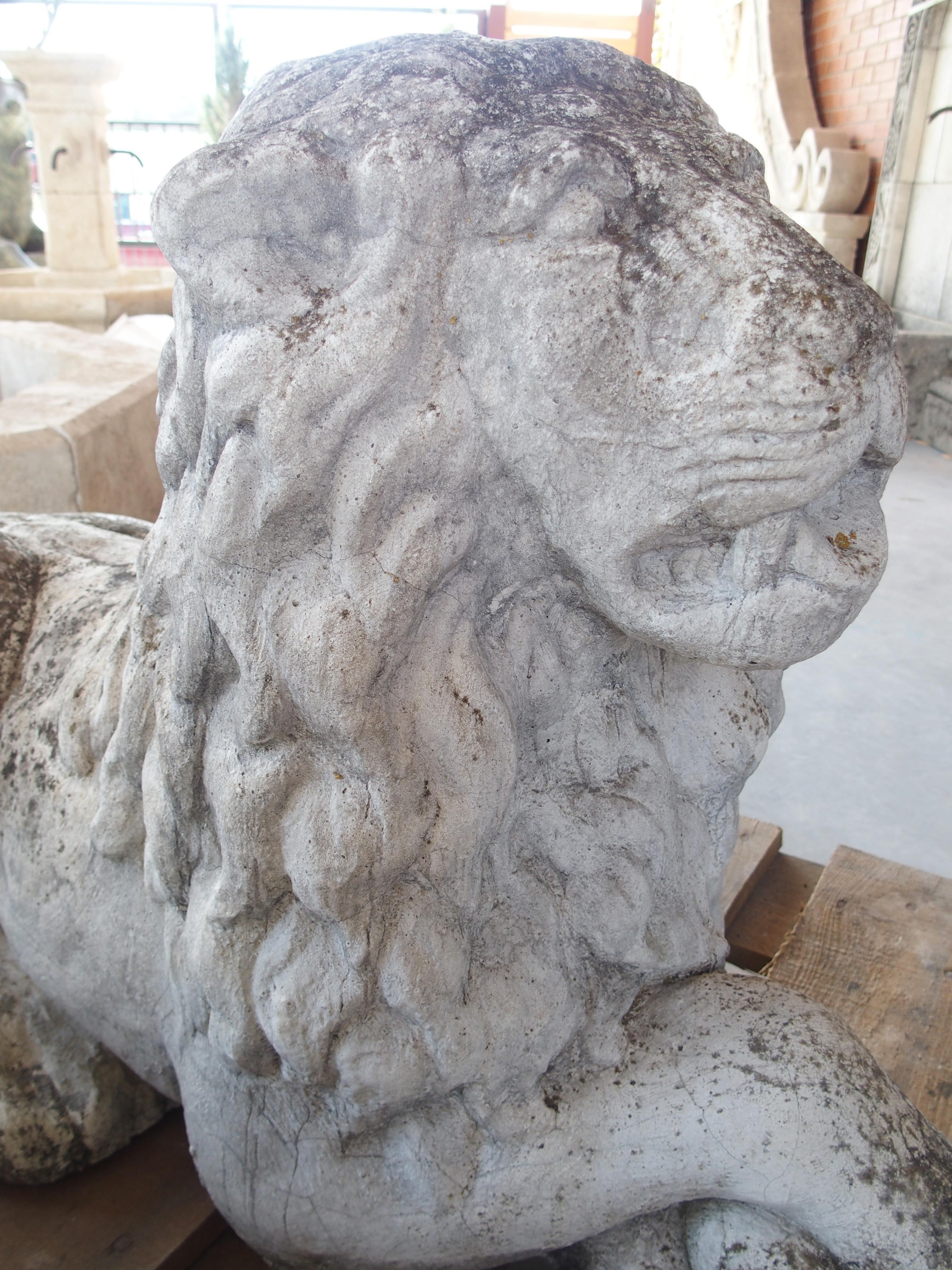 Pareja de leones de jardín yacentes de piedra reconstituida procedentes de Bélgica, circa 1960 en venta 1