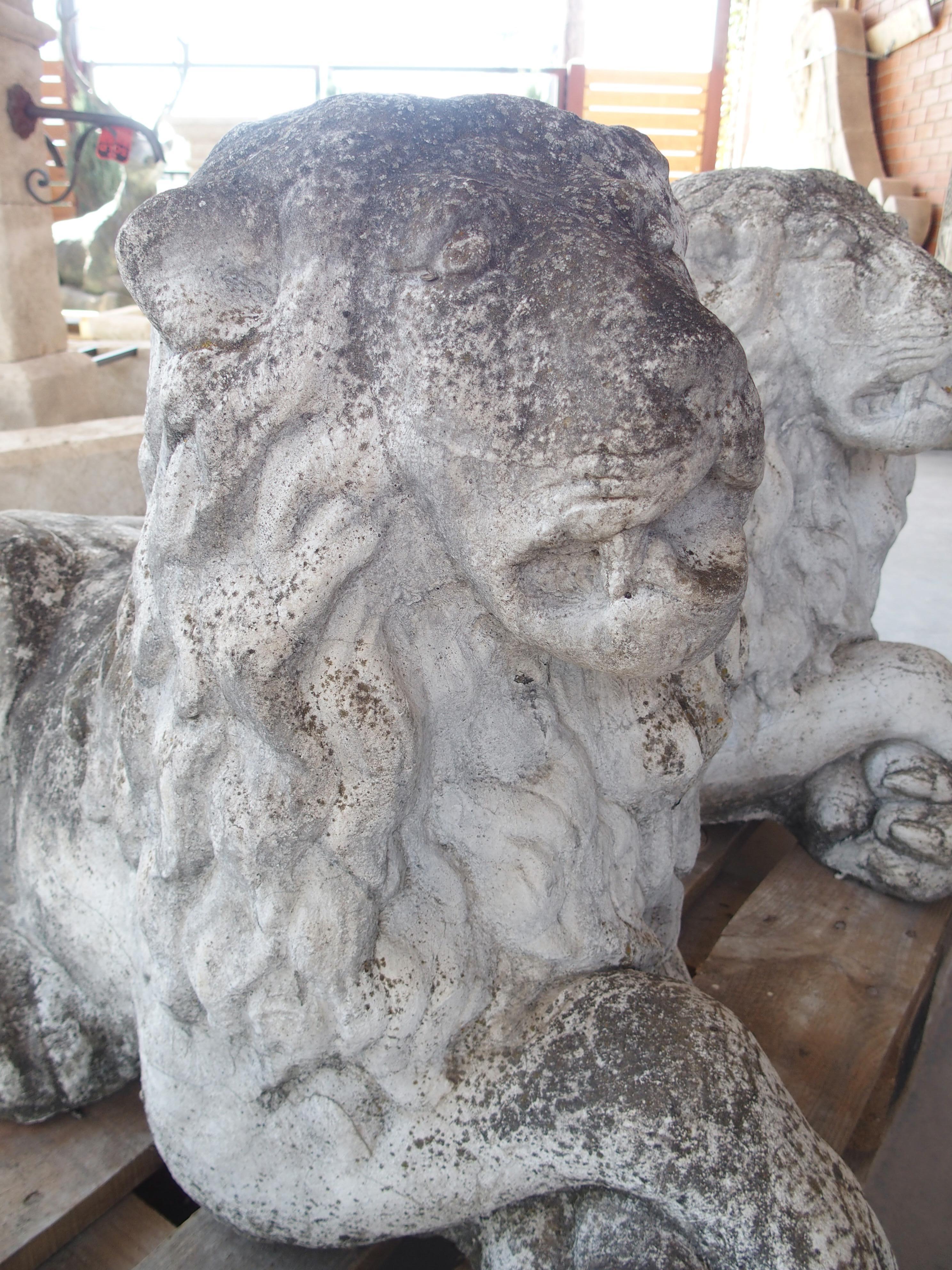 Pareja de leones de jardín yacentes de piedra reconstituida procedentes de Bélgica, circa 1960 en venta 2
