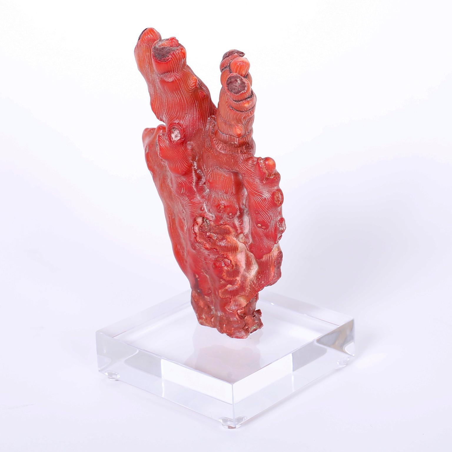 Pair of Red Coral Sculptures, Priced Individually In Excellent Condition In Palm Beach, FL
