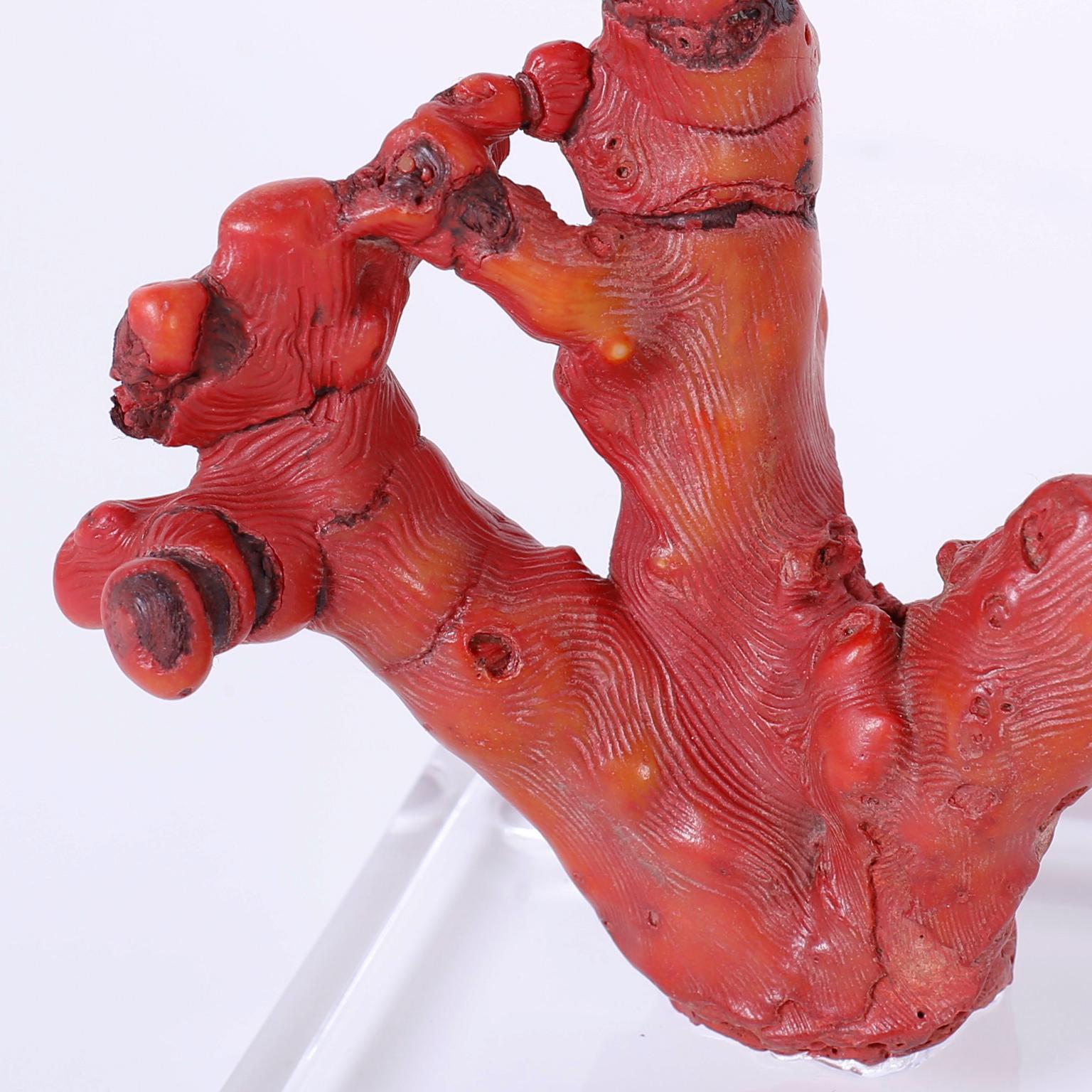 20th Century Pair of Red Coral Sculptures, Priced Individually