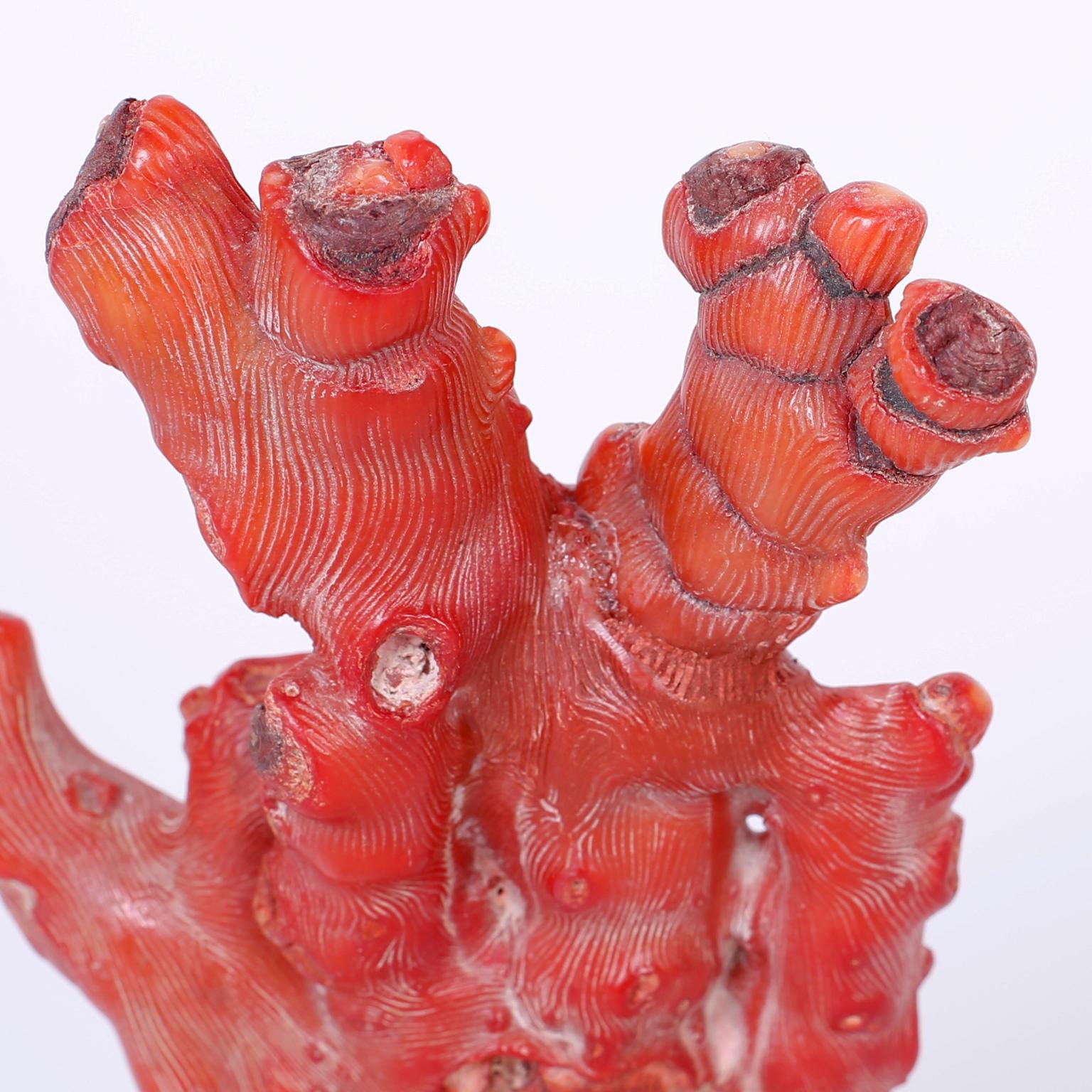 Pair of Red Coral Sculptures, Priced Individually 1