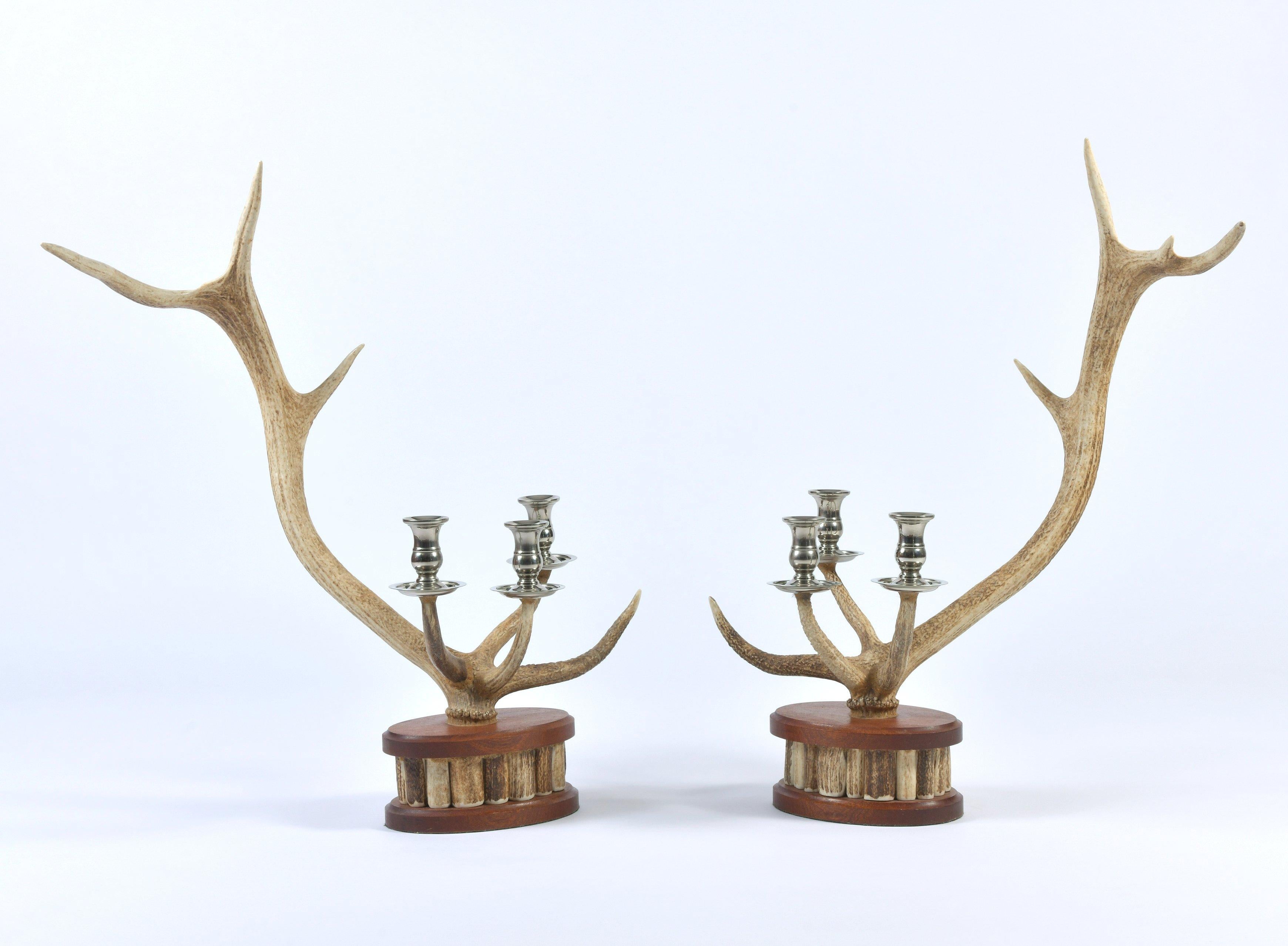 Pair of Red Deer Antler Candlesticks 2