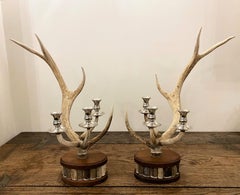 Coppia di candelabri di corna di cervo rosso