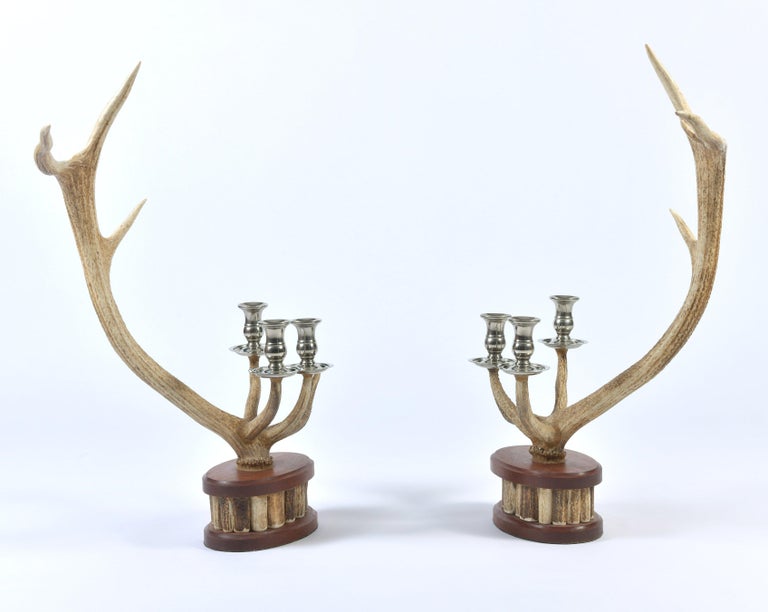 Pair of Red Deer Antler Candlesticks at 1stDibs silver antler