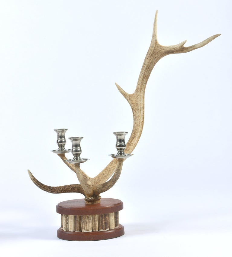 Pair of Red Deer Antler Candlesticks at 1stDibs silver antler