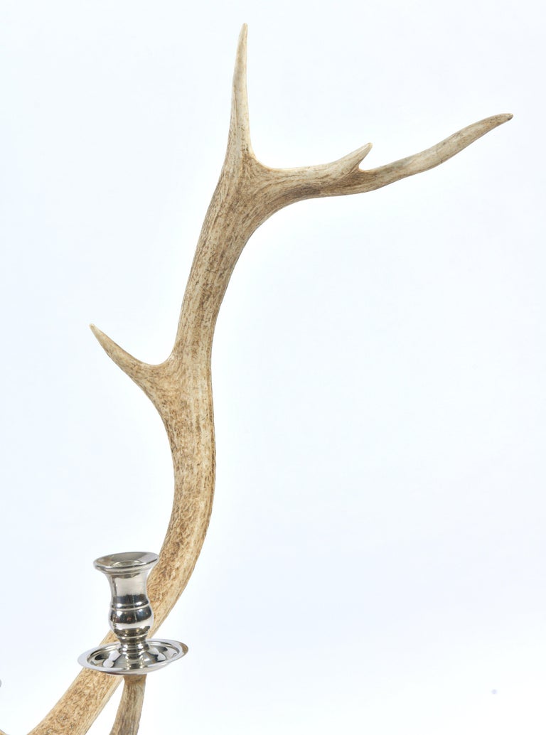 Pair of Red Deer Antler Candlesticks at 1stDibs silver antler