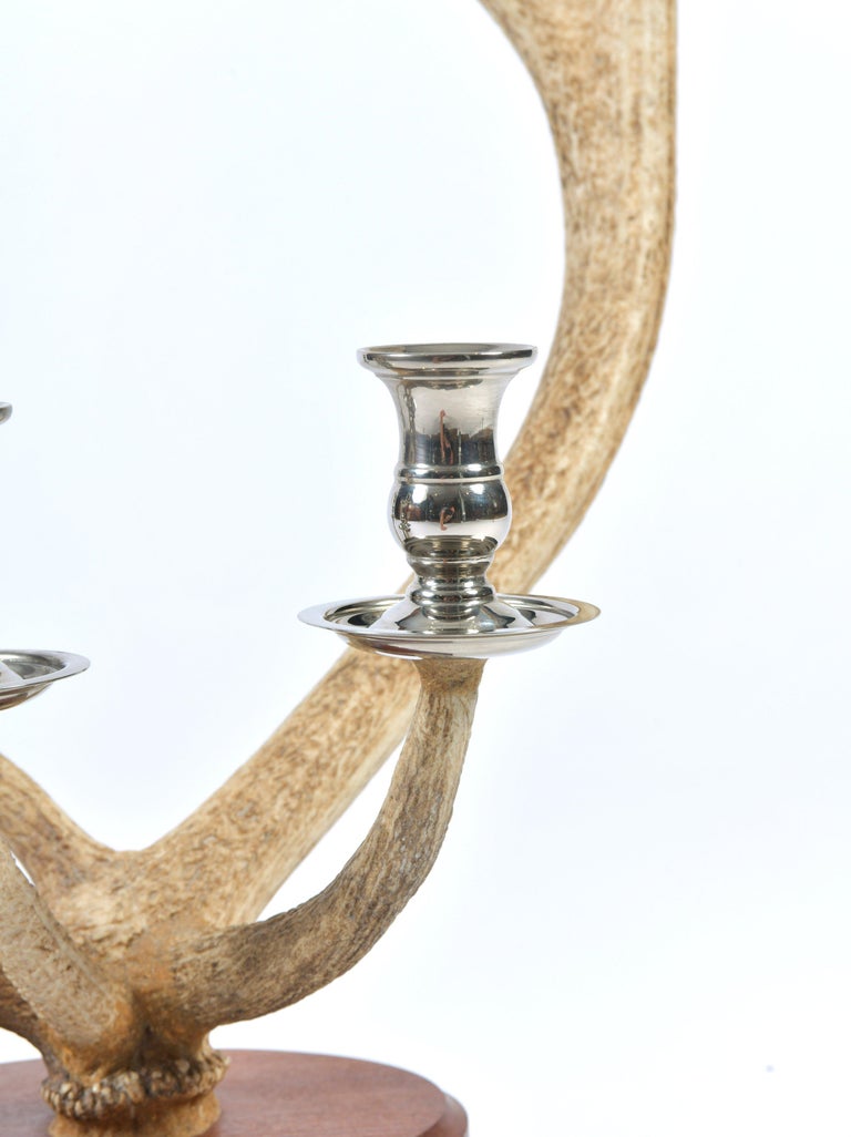 Pair of Red Deer Antler Candlesticks at 1stDibs silver antler