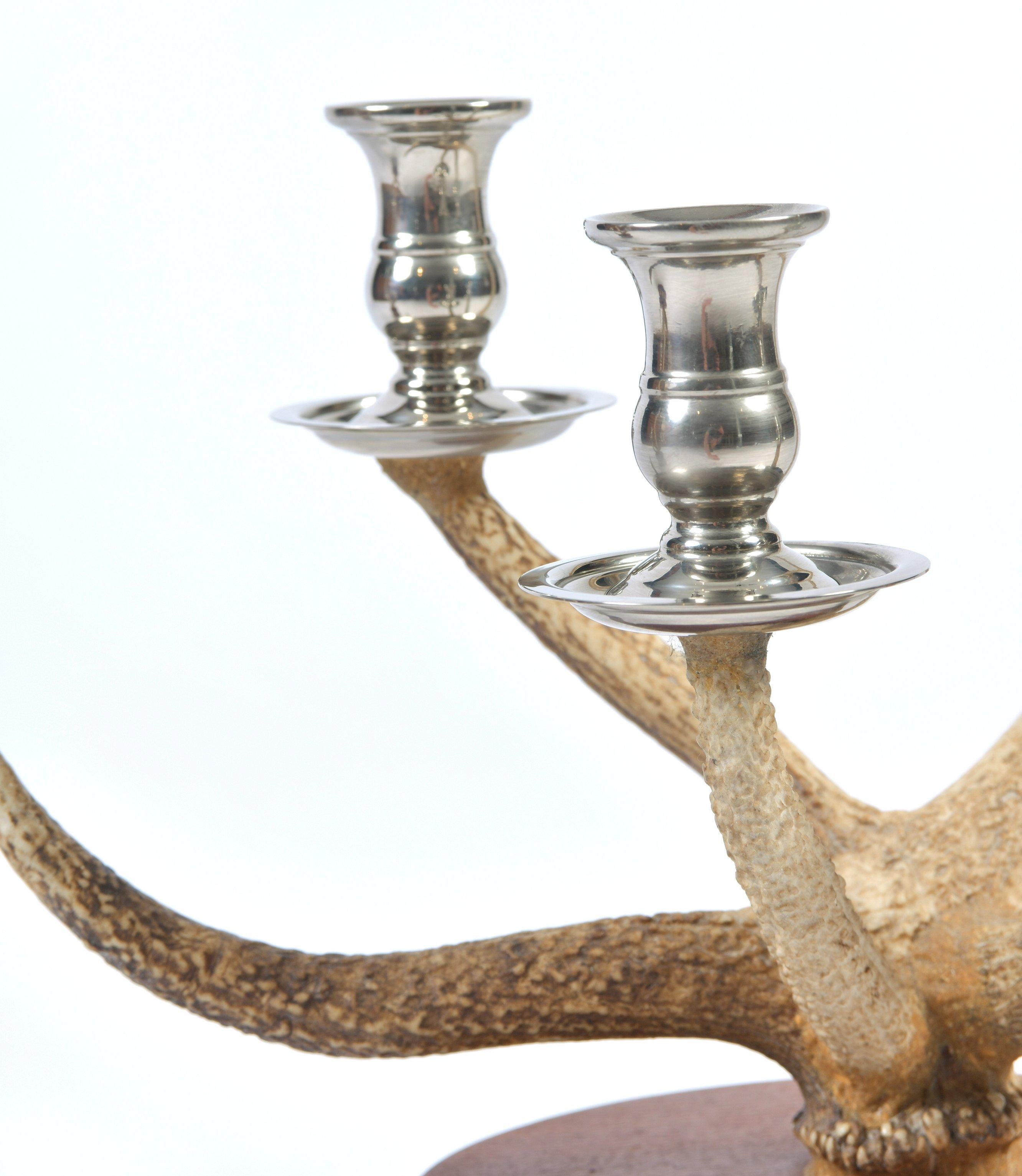 Pair of Red Deer Antler Candlesticks In Excellent Condition In London, GB