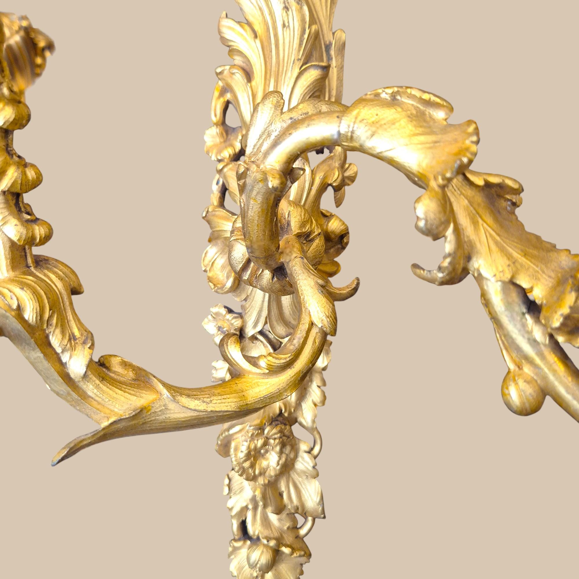 Pair of Régence-Style Gilt Bronze Two-Lights Wall Sconces, 19th century en venta 7