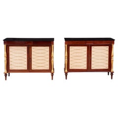 Antique Pair of Regency Cabinets