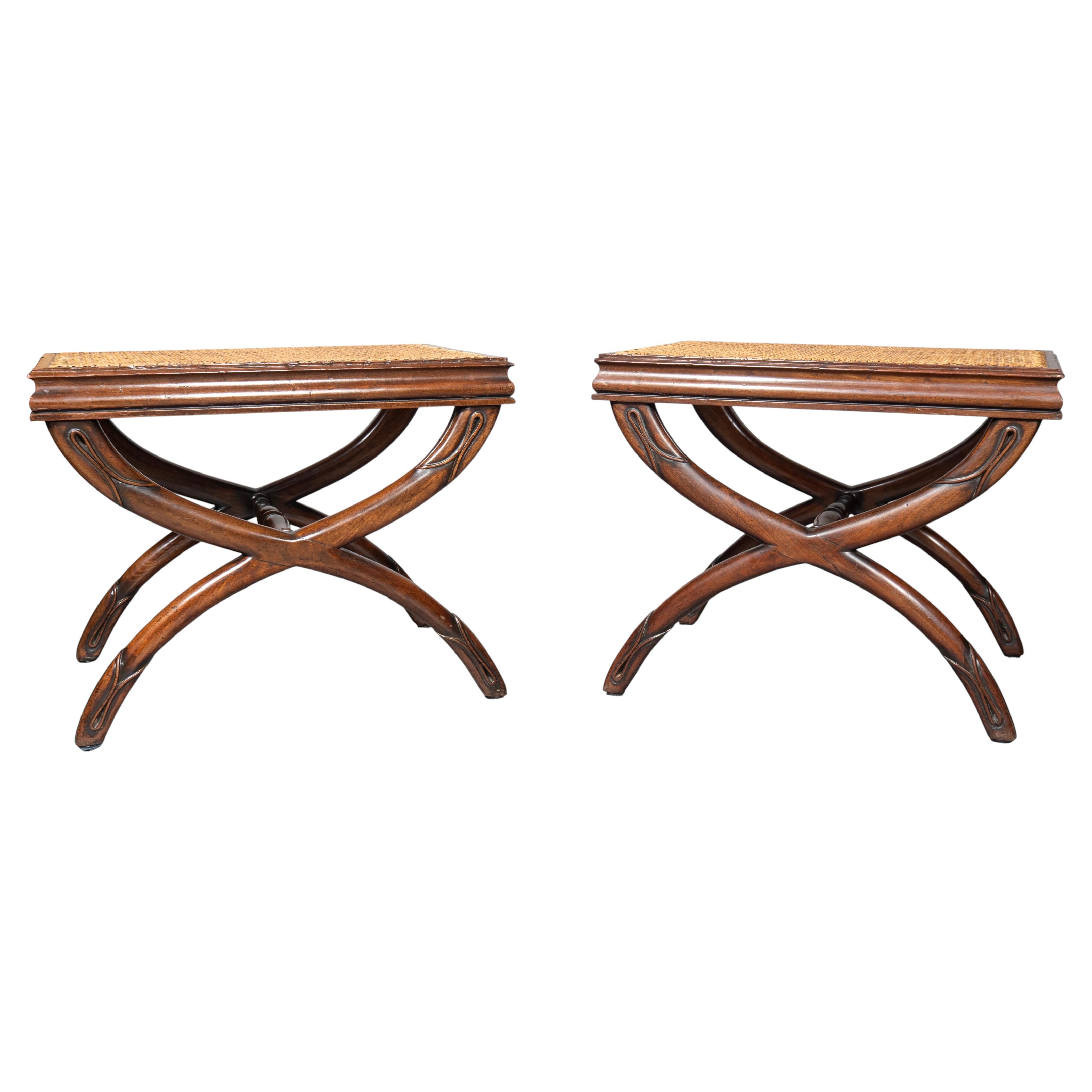 Pair Of Regency Mahogany And Caned Benches