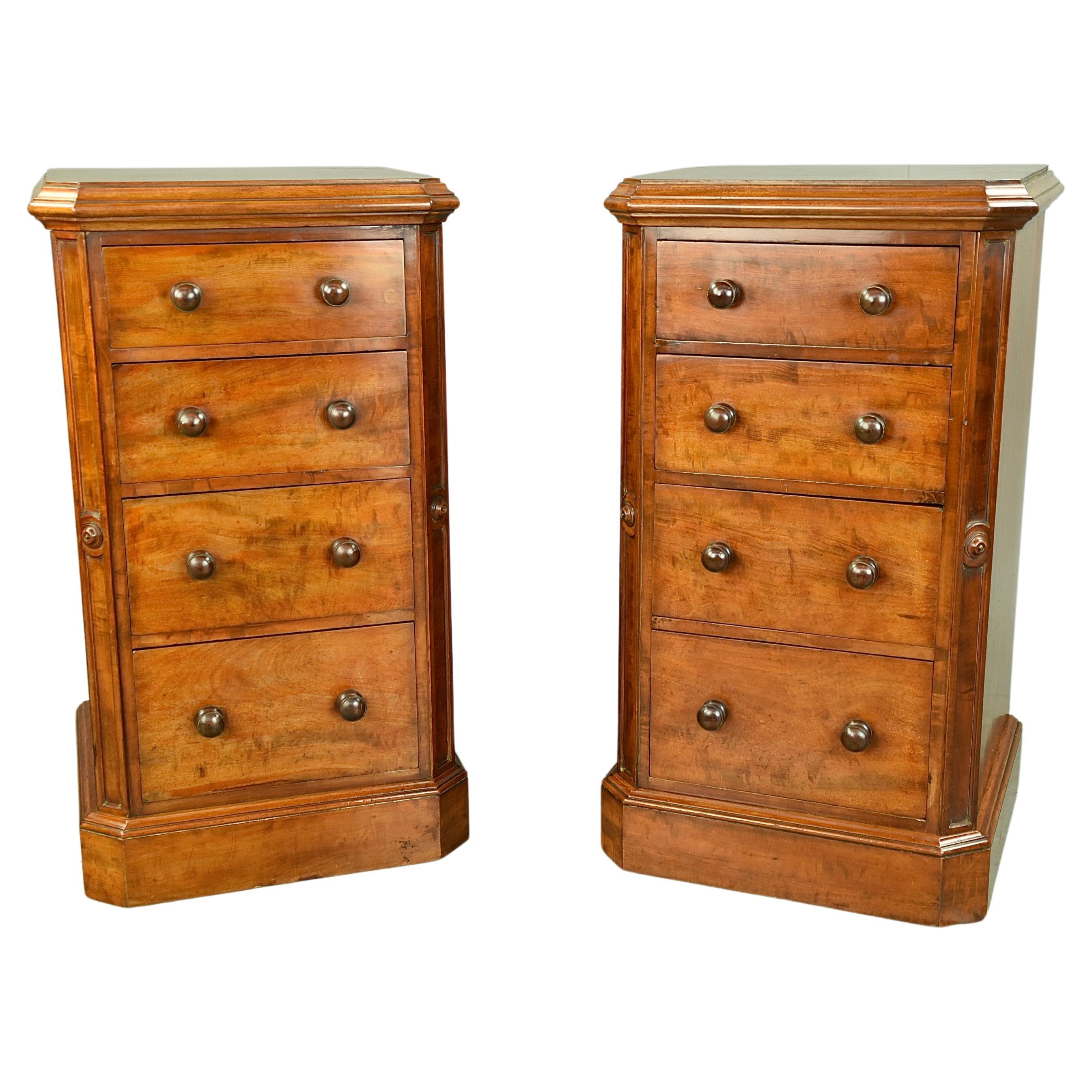 Pair of Regency mahogany bedside chests of drawers/ commodes For Sale