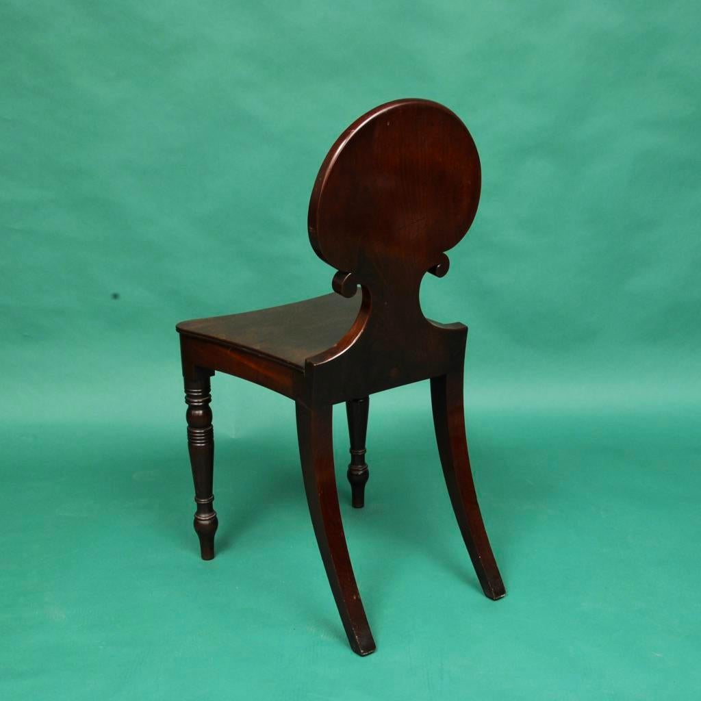 A Regency pair of carved mahogany shell back hall chairs of superb color and patiation.
         