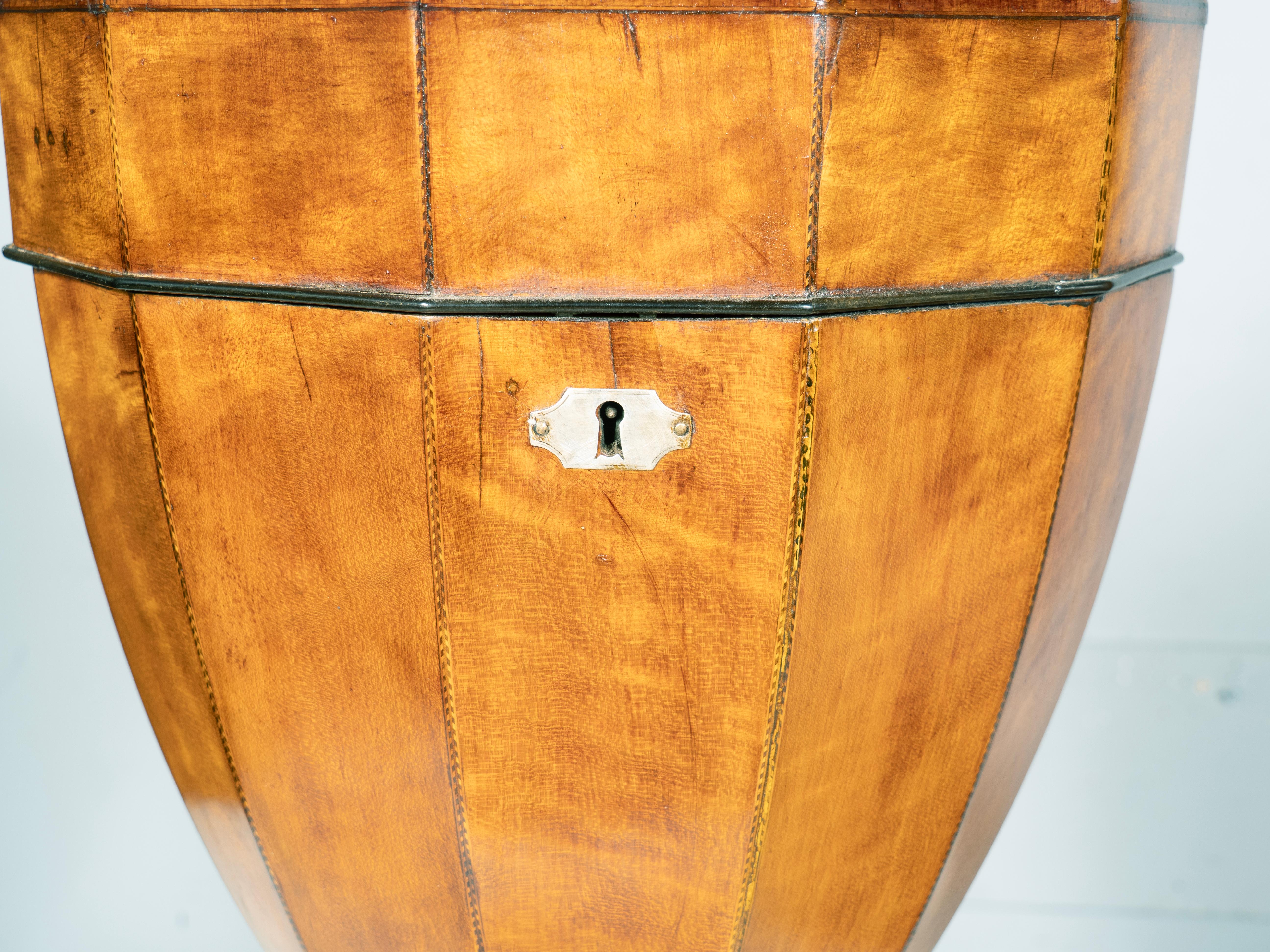 Pair Of Regency Satinwood Urn Form Knife Boxes For Sale 2