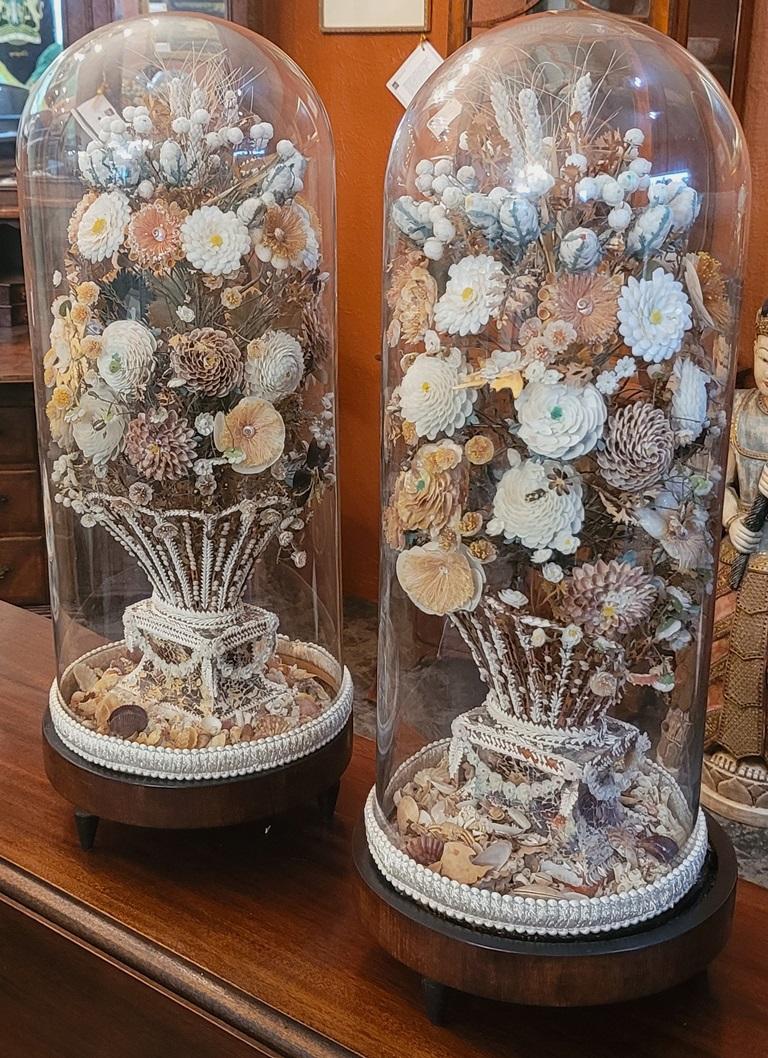 Paire de bouquets floraux de style Régence en coquillage sous dômes en verre en vente 8