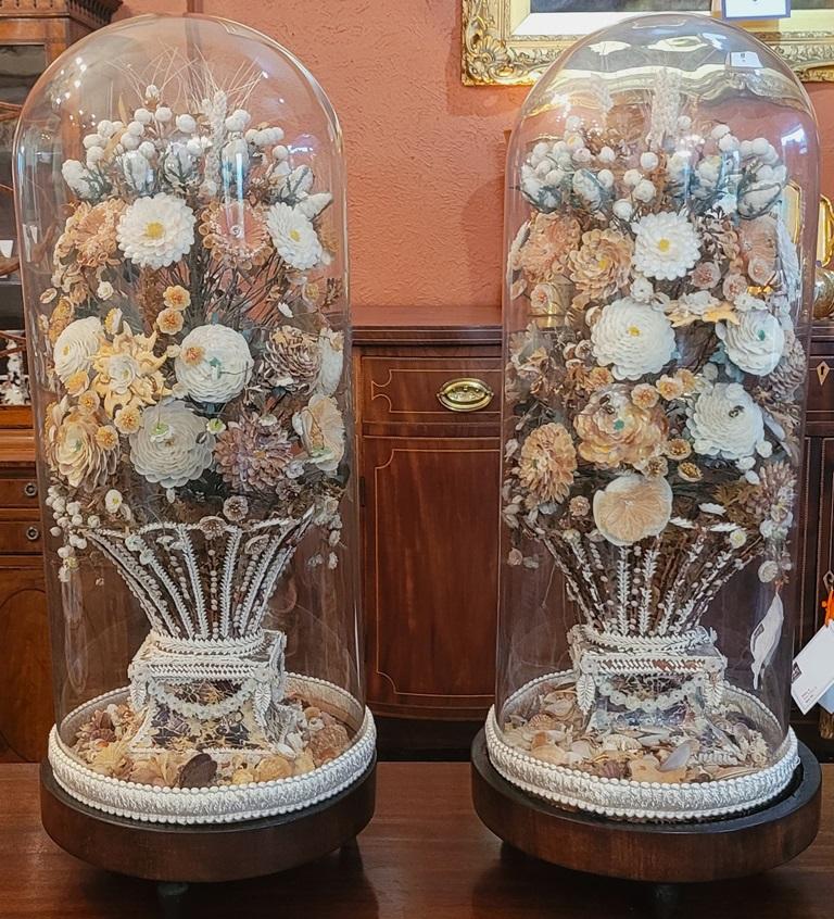 Nous vous présentons une paire de bouquets floraux de style Regency Shell Art sous dôme de verre, d'une rareté, d'une qualité exceptionnelle et d'une qualité digne d'un musée.

Fabriqué en Angleterre, vers 1820, à l'époque de la Régence.

Il s'agit