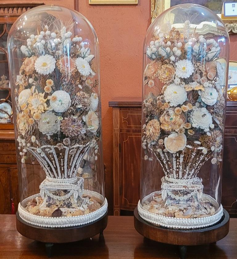 Regency Paire de bouquets floraux de style Régence en coquillage sous dômes en verre en vente