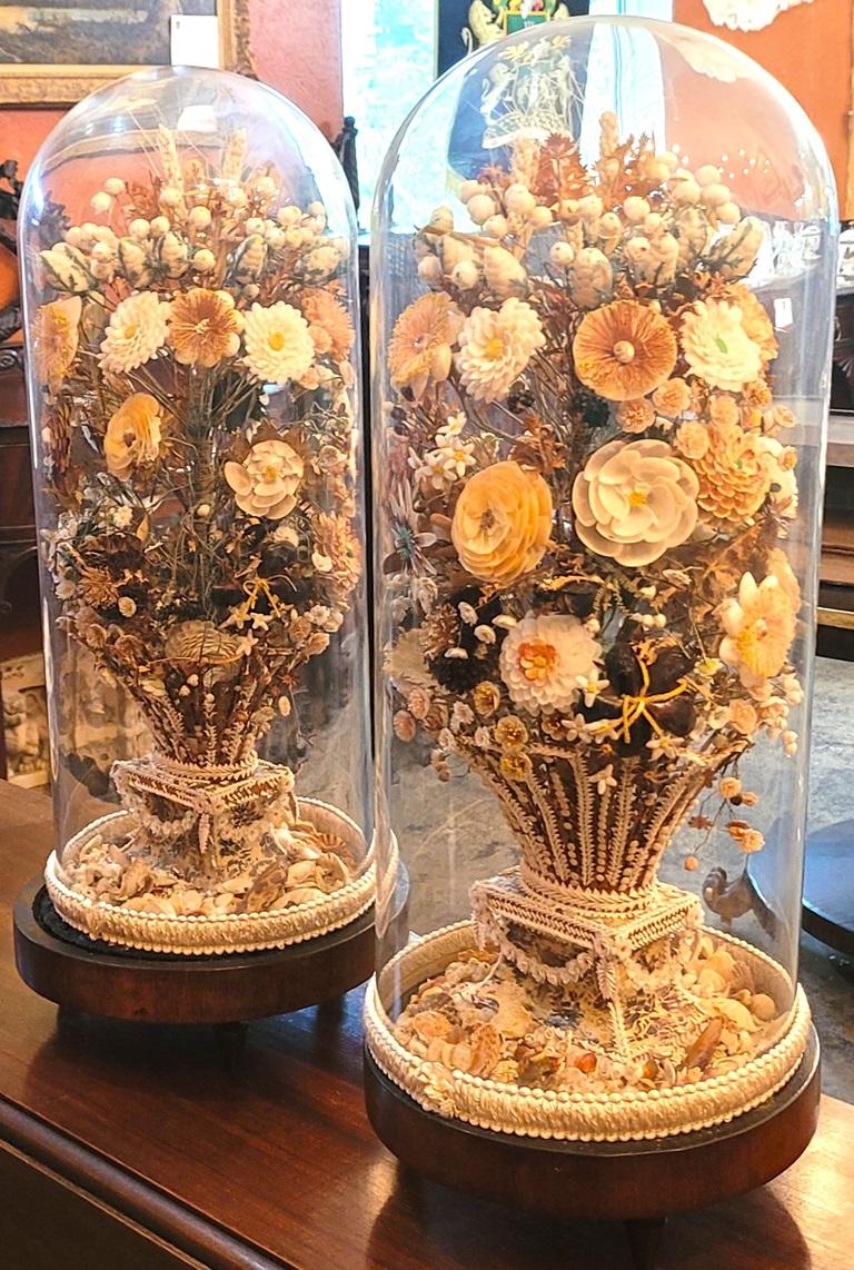 19th Century Pair of Regency Shell Art Floral Bouquets under Glass Domes For Sale