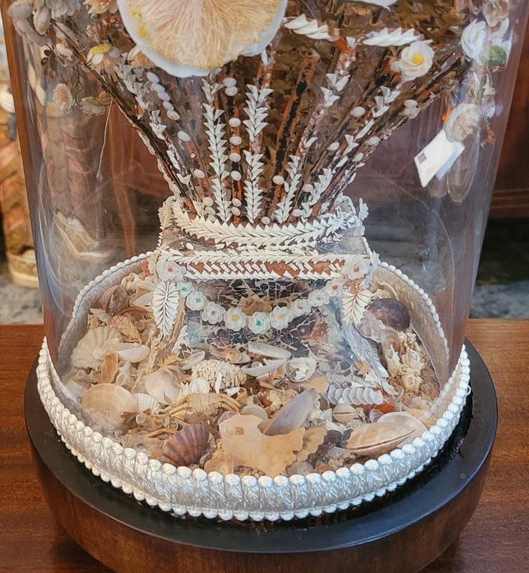 Pair of Regency Shell Art Floral Bouquets under Glass Domes For Sale 2