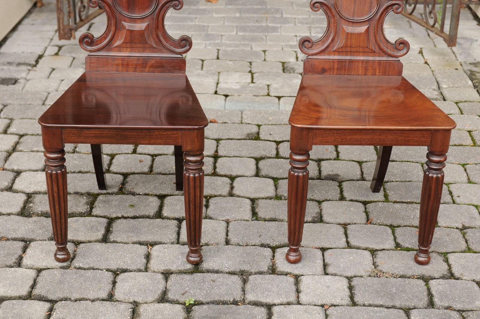 Pair of Regency Style 1870s Carved Mahogany Hall Chairs with C-Scroll Backs 4