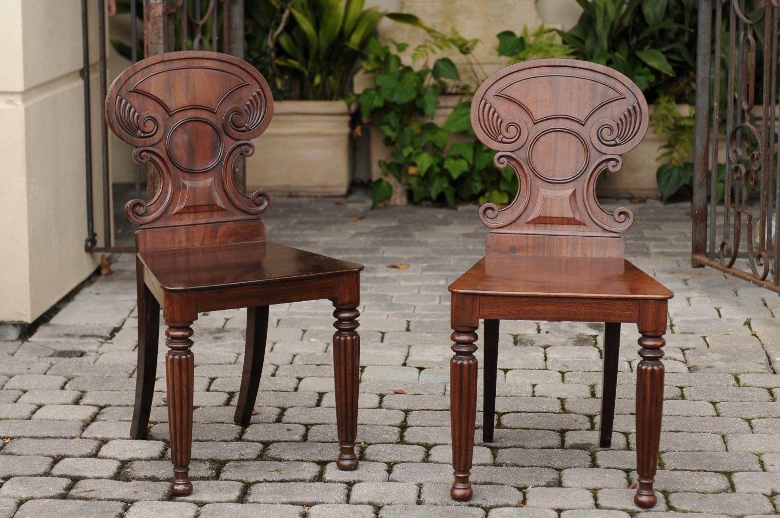 A pair of English Regency style mahogany hall chairs from the second half of the 19th century, with c-scroll carved backs, reeded and saber legs. Designed to be placed against the wall in main halls to accommodate guests waiting to be received, hall