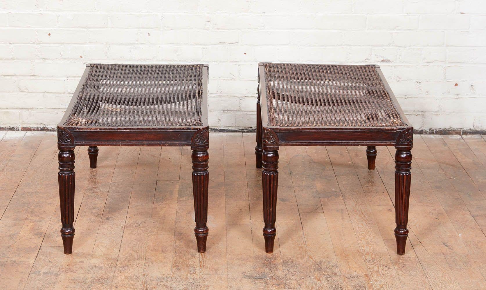 Good pair of Regency style benches, the cane seat over molded rails, the reeded legs with palmette carved corners, the whole of good design and proportion. Ready as is or with your choice fabric for loose cushion.
Partially comprising period