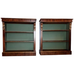Pair of Regency Style Dwarf Bookcases